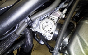 HONDA REBEL 250 A 2024 MC49