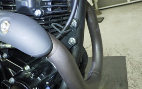 KAWASAKI KLX230 SM 2020 LX230A