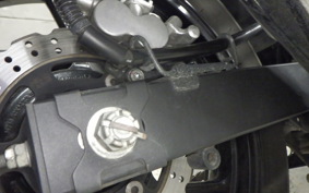 KAWASAKI NINJA 250R 2021 EX250K