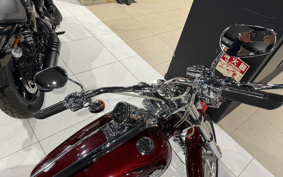 HARLEY  HARLEY FXCWC 2008 JK5