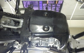 YAMAHA WR250X 2013 DG15J