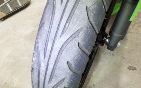 KAWASAKI NINJA 250 2019 EX250Y