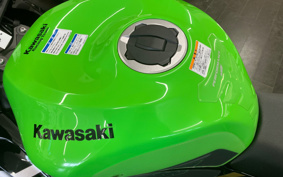 KAWASAKI NINJA ZX-6R 2020 ZX636G