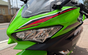 KAWASAKI NINJA 250 KRT ED EX250Y