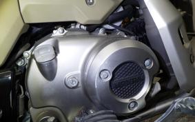HONDA CT125 HUNTER CUB 2021 JA55