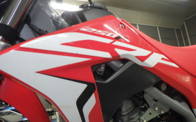 HONDA CRF250F 2024