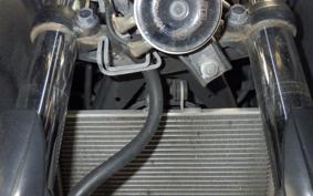 YAMAHA YZF-R25 2020 RG10J