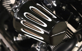 HARLEY FXDWG 2014 GP4