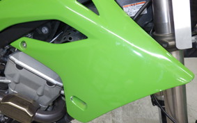 KAWASAKI KLX250D TRACKER 2017 LX250E