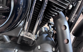 HARLEY XL883N 2018 LE2
