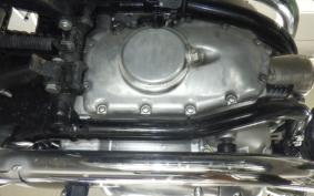 KAWASAKI W800 2024 EJ800E