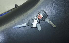 SUZUKI ｼﾞｸｻｰ250SF