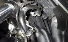 YAMAHA X FORCE SG79J