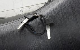 DUCATI SCRAMBLER ICON 2020