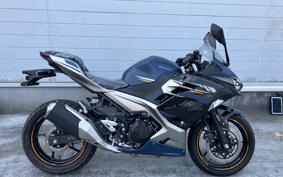 KAWASAKI Ninja 250 ABS EX250Y