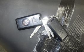 HONDA FORZA ZA 2024 MF10