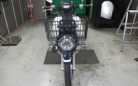 HONDA C110 SUPER CUB 2018 JA10