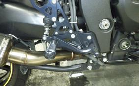 YAMAHA FZ1 FAZER 2010 RN21J