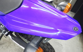 YAMAHA WR250R 1995 DG15J