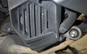 HONDA TACT Basket AF79
