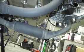 HONDA MONKEY 125 2021 JB03