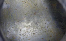 KAWASAKI ZEPHYR 750 2025 ZR750C