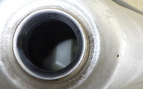 YAMAHA TRICKER DG10J