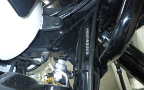 HARLEY FLTRX1920 2024