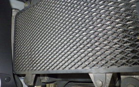 KAWASAKI VERSYS X250Aﾂｱﾗｰ 1999 LE250D