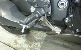 KAWASAKI NINJA 1000SX 2023