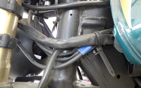 OTHER GPX LEGEND250ブライトン