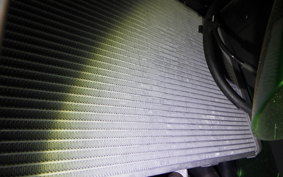 KAWASAKI NINJA 1000 A 2017 ZXT00W