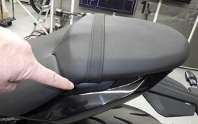 TRIUMPH DAYTONA660 2024