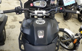 TRIUMPH TIGER1050(ショルイ