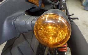 HARLEY XG750 STREET ROD 2020