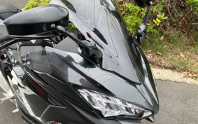 KAWASAKI NINJA 250 EX250P