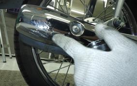 HONDA C110 SUPER CUB 2010 JA07