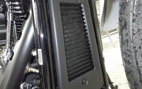 HARLEY FXLRST1920 2026