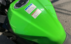 KAWASAKI NINJA 400 2023 EX400L