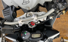 YAMAHA FZ1 FAZER 2010 RN21J