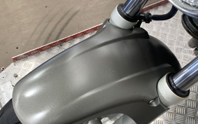 HONDA HORNET 250 MC31