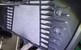YAMAHA MT-25 A RG74J