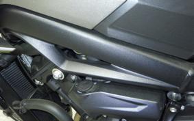 TRIUMPH STREET TRIPLE R 2026