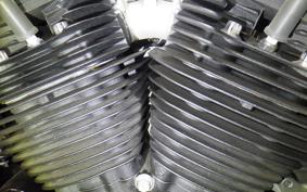 HARLEY XL883N 2020