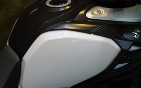 SUZUKI DL1000 ( V-Strom 1000 ) 2014 VU51A