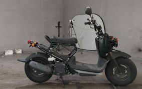 HONDA ZUMAR AF58