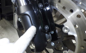 HARLEY FXLRS1920 2024