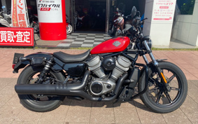 HARLEY RH975 NIGHT STAR 2024 ZH1
