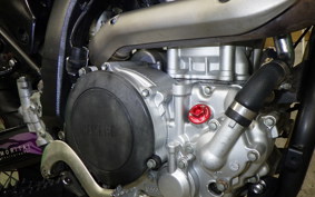 YAMAHA WR250X 2017 DG15J