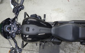 HARLEY FXLRS1920 2024